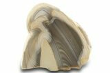 Polished Striped Flint Stand Up - Poland #299366-1